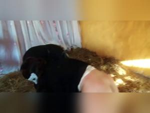 Selena and her canine friend in a zoophilia video