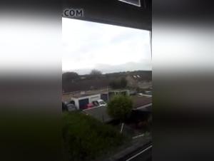 Sex Scene with a Dog