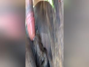 Intense and Exciting Zoophilia Videos on Zoofbahia