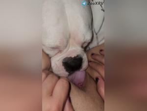 Mutter Dog Hardcore Sex