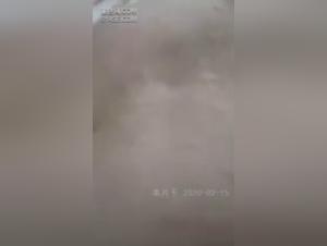 Real Zoophilia Video - Contact us on QQ: 2118825262