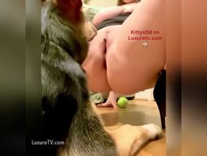 Extreme Dog Sex - Best BBW Video