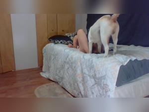 Forbidden Love: Man and His Dog