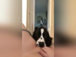 Forbidden Love: Man and Canine