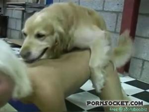 Asiática Forzada: Sexo Canino Salvaje