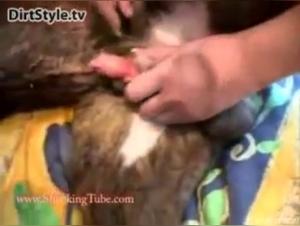 Intense moments with our Dog Sex party