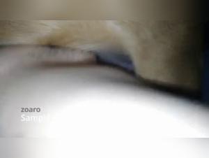 Good Girl 2: A Bestial Experience - Bestiality Sex Video