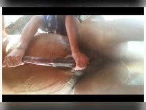 Bestiality video with a horse: discover hard and exciting scenes