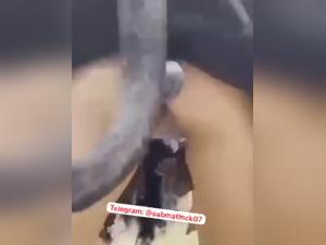 atado y violado por perro: sexo extremo en video