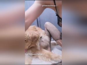 good fuck with a dog