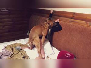 Sonya K9 Compilation - Hardcore Dog Animal Action