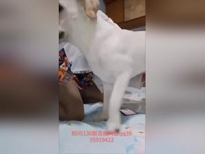 Unleash Your Desires: Bestial Encounters Await