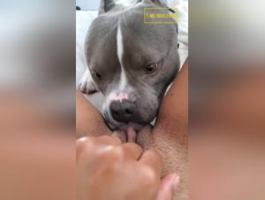 Hund fickt Cute