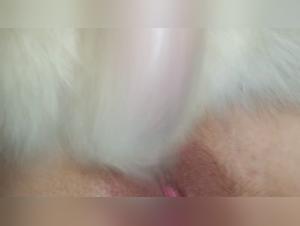 Beyond Consent: The Dog Sex Line