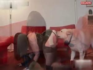 Extreme zoophilia video: submissive woman gets fucked by a dog