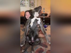 Extreme Bestiality: Zoophilia Video with a Dog