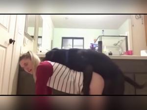 Wild Girls Dog Sex - Extreme