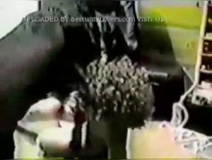 Dog fucks girl on the livingroom floor