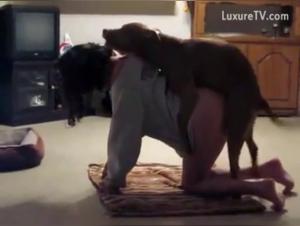 Sex video with a dog: an extreme experience