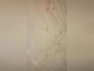 The First Time, Love and a Dog!