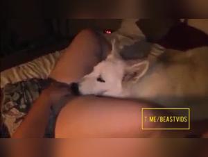 animal lust teased