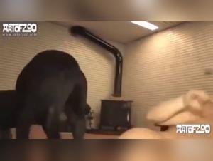 Banned Videos: Woman and Dog