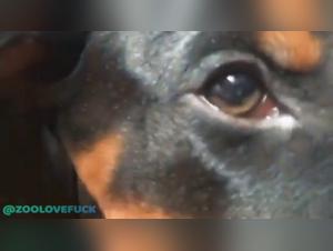 zoofiliaxxx beastlity asian