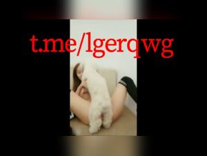 Live show with a Chinese teenager and a dog