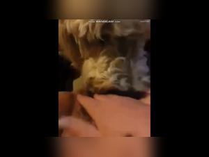 Bestial video: Woman and dog