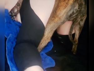 Tierische Begierde: Hundesex Und Verdorbenheit