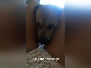 HD bestiality video with a milf and her dog