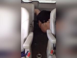 Hund fickt im Auto, tiefes Missionary