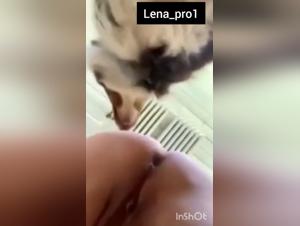 Forbidden Delights: A Slut's Animalistic Frenzy Unleashed