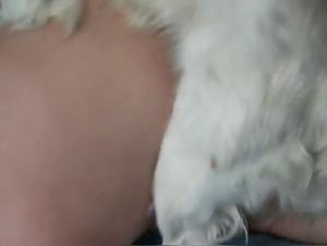 Sex Tourism Gone Wild: Dog Rages Woman