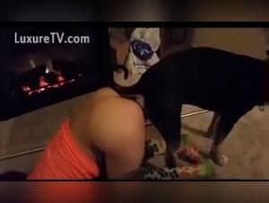 Intimidad K9: exploraciones sensuales