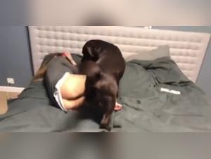 Woman and dog: a beastly love story