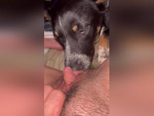 baise canine: clit adore chien