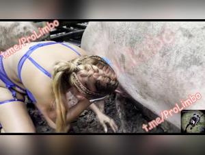 Exclusive Zoophilia Content: Xnxxzoo