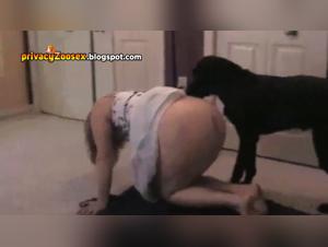 Hotwife training: Mating with a dog