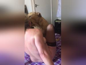 Bestiality: A woman and her dog