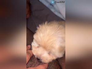 Dog fucks Woman Part 1