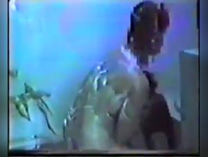 Classic Vintage - A Bestial Experience