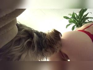 New amateur zoophilia video: a dog and a woman