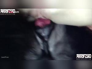 Salope et son Chien: Baise Éxtatique