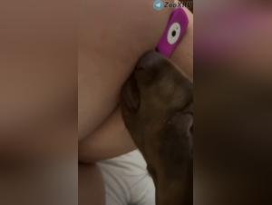 Girl Dogged & Licked Extreme