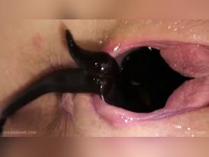 Mädchen Dog Sex, Leeches extreem