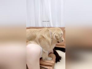 Chinese Girl Dog Sex - Extreme Videos