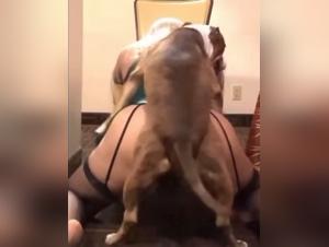 Big Dog Fucks Tight Pussy