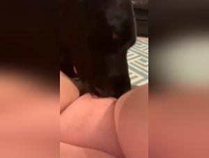 Chubby woman and dog in a zoophilia video