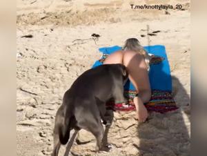 Dog fucks amateur outdoors